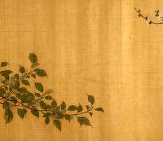 野生鳗鱼和养殖区别，淡水野生鳗鱼怎么杀