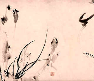 育雏柴煤加温炉注意什么，蛋鸡育雏应该注意哪些事项