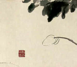 小鸡从啄壳到出壳用多少时间，芦丁小鸡啄壳后多久能出壳
