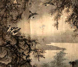 南美斑马虾，斑马虾养殖