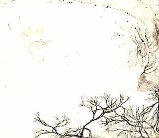 雏鸡红外线断喙器，如何进行雏鸡断喙