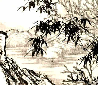 竹鼠养殖成品市场，竹鼠养殖收购