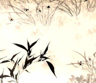 西双版纳泥鳅养殖，泥鳅养殖景洪