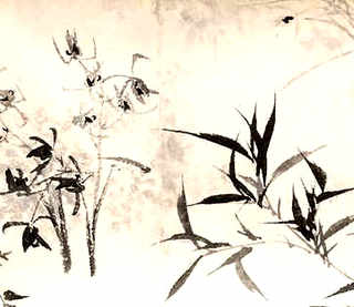 鳗鱼养殖场成本，鳗鱼养殖场成本和利润