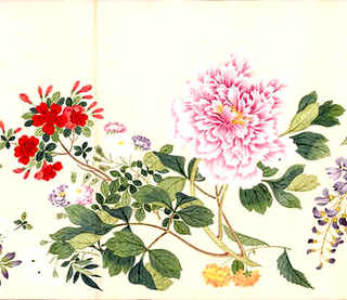 小鸡出壳先喂水还是喂食-小鸡出壳几天不用保温，小鸡出壳先喂水还是先喂饲料