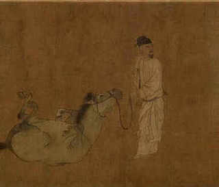 养殖场养殖驴