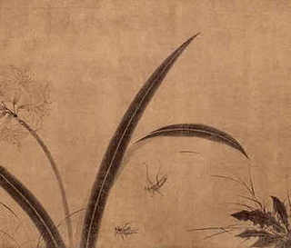 水貂养殖家，营美水貂养殖