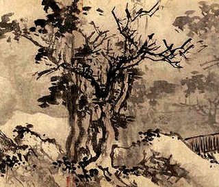 豪猪跟什么有关系，豪猪有什么样的性格
