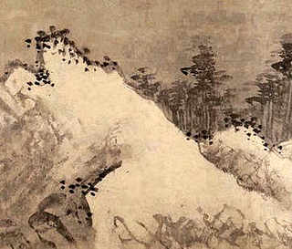 鳄龟养殖环境