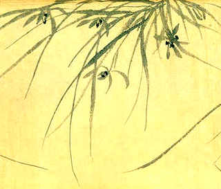 南方室内养殖，南方室内养殖的植物图片