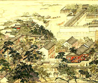 鸟尾花批发，鸟尾花养殖