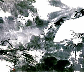 雏鸡怎么分辨公母鸡，雏鸡怎么分辨公母