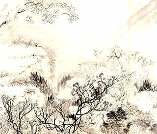 小尾寒羊和杜泊绵羊怎样区分，小尾寒羊和杜波绵羊外型有那些不同