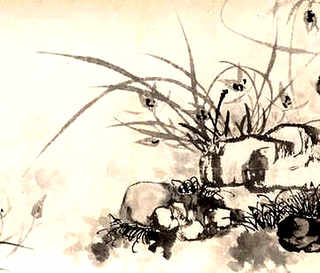 徐州梅花鹿养殖基地，徐州地区养殖什么前景好