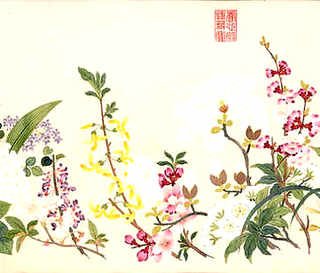干脚淘汰鸡苗区分，鸡苗优劣怎么区分