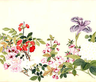 炖野鸡做法