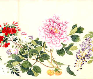 骨标本的制作方法，怎样制作长骨标本