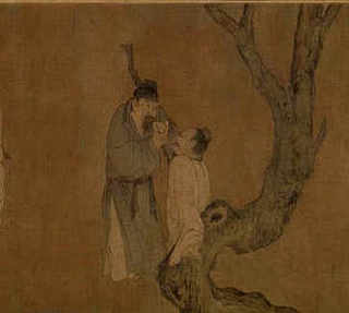 怎样种植桑黄，怎样种植桑黄