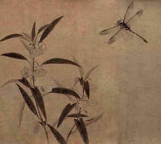 马蜂蛹什么时候收获，马蜂蛹什么时候收获最好
