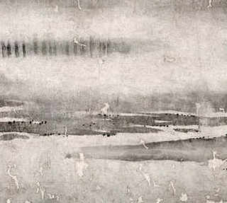 海上养殖鲍鱼，海上养殖鲍鱼基地