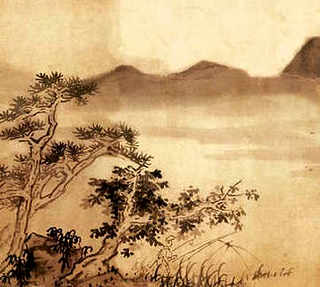 羊肚菌养殖前景，羊肚菌养殖前景