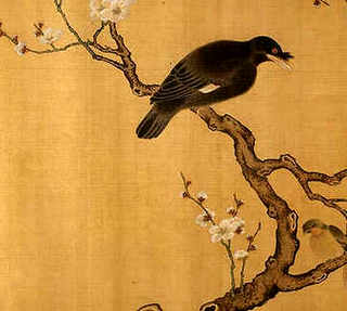 黑鳗鱼的养殖，黑鳗鱼价格