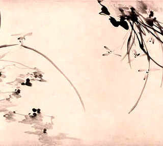 并蒂莲烂根怎么办，并蒂莲的养殖方法