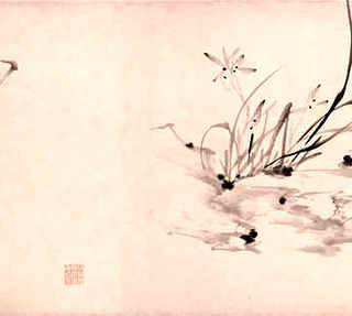单峰驼如何养殖，长眉驼养殖