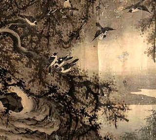 谁有中华草龟的图片-求图片，中华草龟高清图片大全