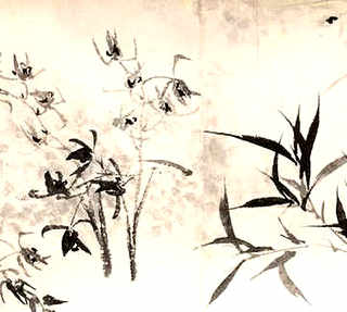舍腰蜂的图片，昆虫记舍腰蜂介绍