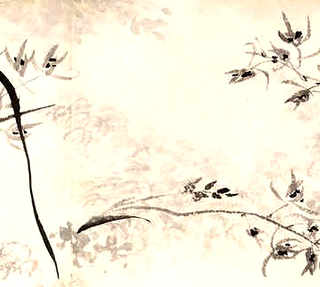 养殖龙虾预防疾病，养殖龙虾的长见疾病