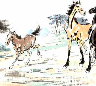 鲈鳗鱼野生和养殖有和区别，白鳗鱼是野生还是养殖