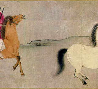 草鱼流水养殖，草鱼流水养殖