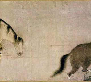 鲈鱼苗养殖，鲈鱼养殖吧