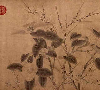 黄鳍鲷养殖水质要求，黄鳍鲷养殖水质怎么样