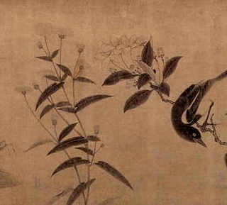 适合养殖虹鳟鱼地区，哪里有养殖虹鳟鱼