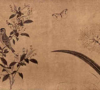黑羽绿壳蛋鸡养殖视频，养殖黑羽绿壳蛋鸡