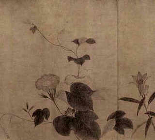狐貉养殖前景，临清狐貉养殖