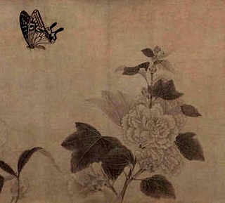 鲍鱼能喂孔雀鱼吗，养殖鲍鱼喂什么