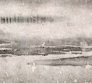 野鸭的养殖，野鸭的养殖