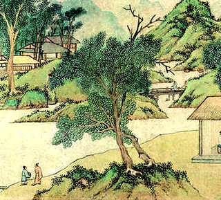 蝉养殖技术，蝉养殖基地