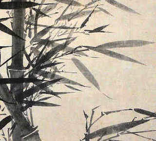 水龟和草龟能同养吗，用什么水养草龟最好呢