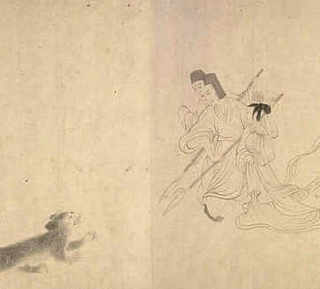 农博士大讲堂刺猬养殖，致富经之刺猬养殖
