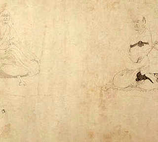 君子花的养殖方法，君子花什么时候开花