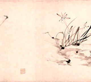 加吉鱼养殖水温多少度，哪里养殖加吉鱼