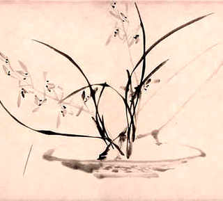 养殖南美对虾赚钱，养殖南美对虾赚钱