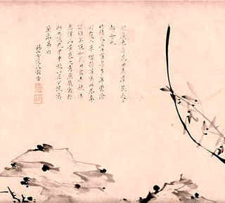 鼠尾掌养殖，仙人掌鼠尾掌的养殖方法