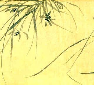 野生观赏动物生态养殖，野生动物养殖场