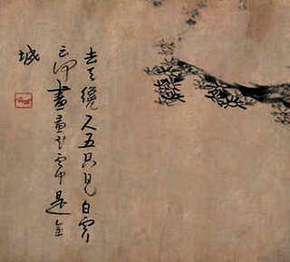 水培幸运竹养殖方法图解视频，水培幸运竹养殖方法