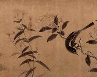 斑纹草龟和虎纹草龟会墨化吗，什么是斑纹草龟斑纹草龟简介